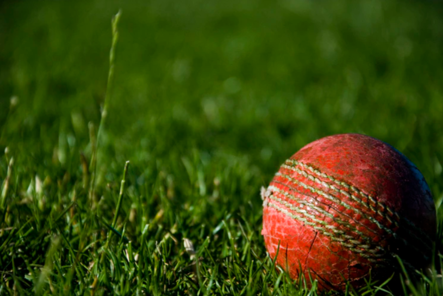cricket sports