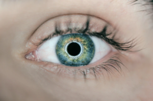 contact lens